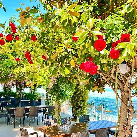 Golden Sands La